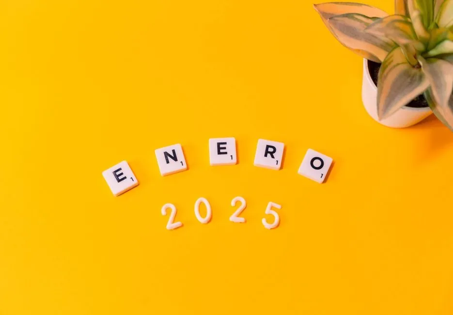 Simulador del Impuesto sobre Sociedades 2025