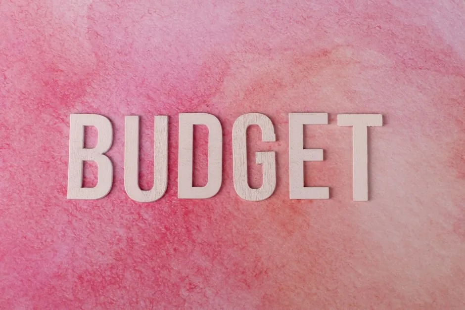 Diferencia entre Budget y Forecast: Claves Financieras