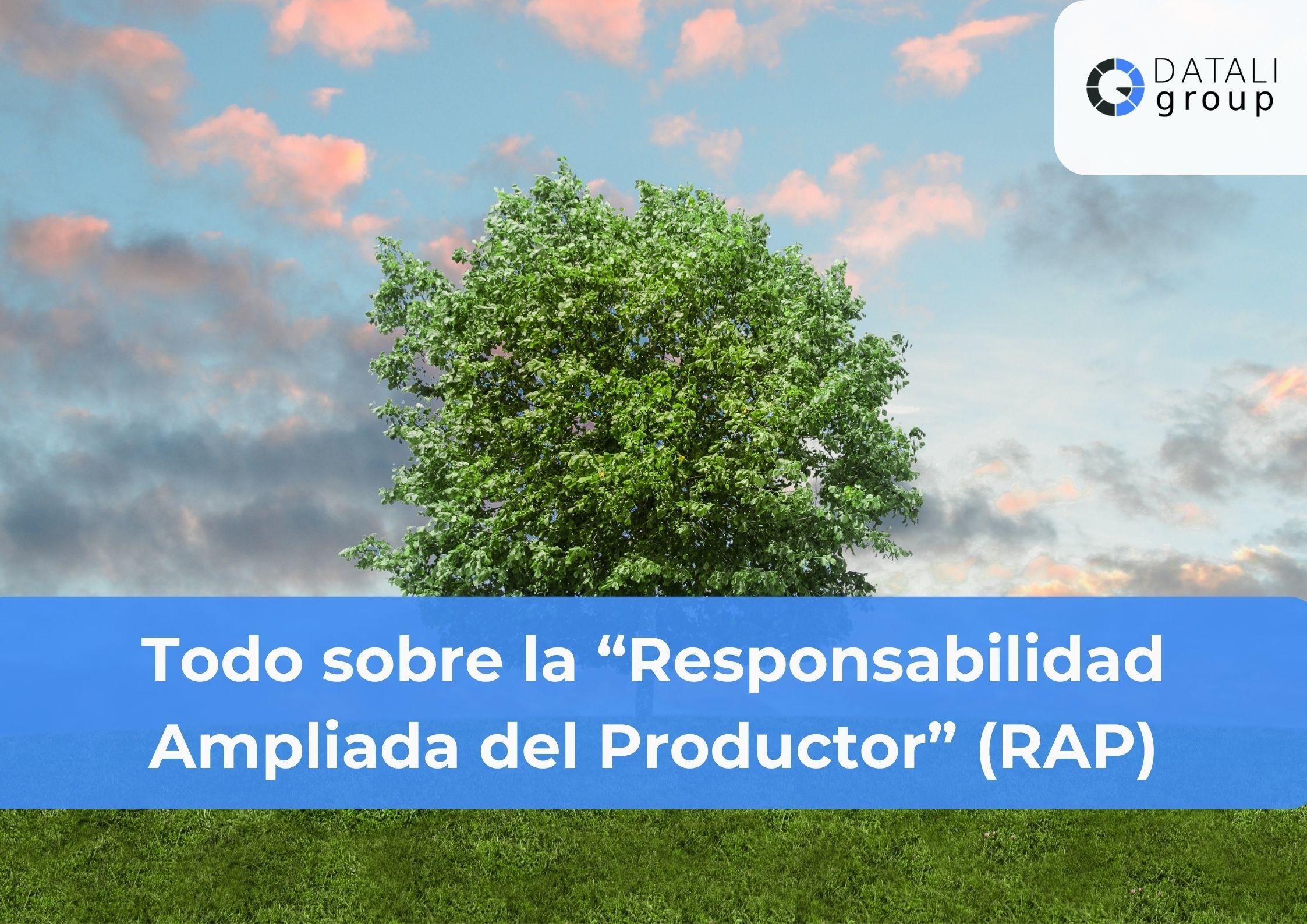 Responsabilidad Ampliada del Productor (RAP) - Datali Group