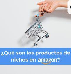 Datali Group - ¿Qué son los productos de nichos en Amazon?