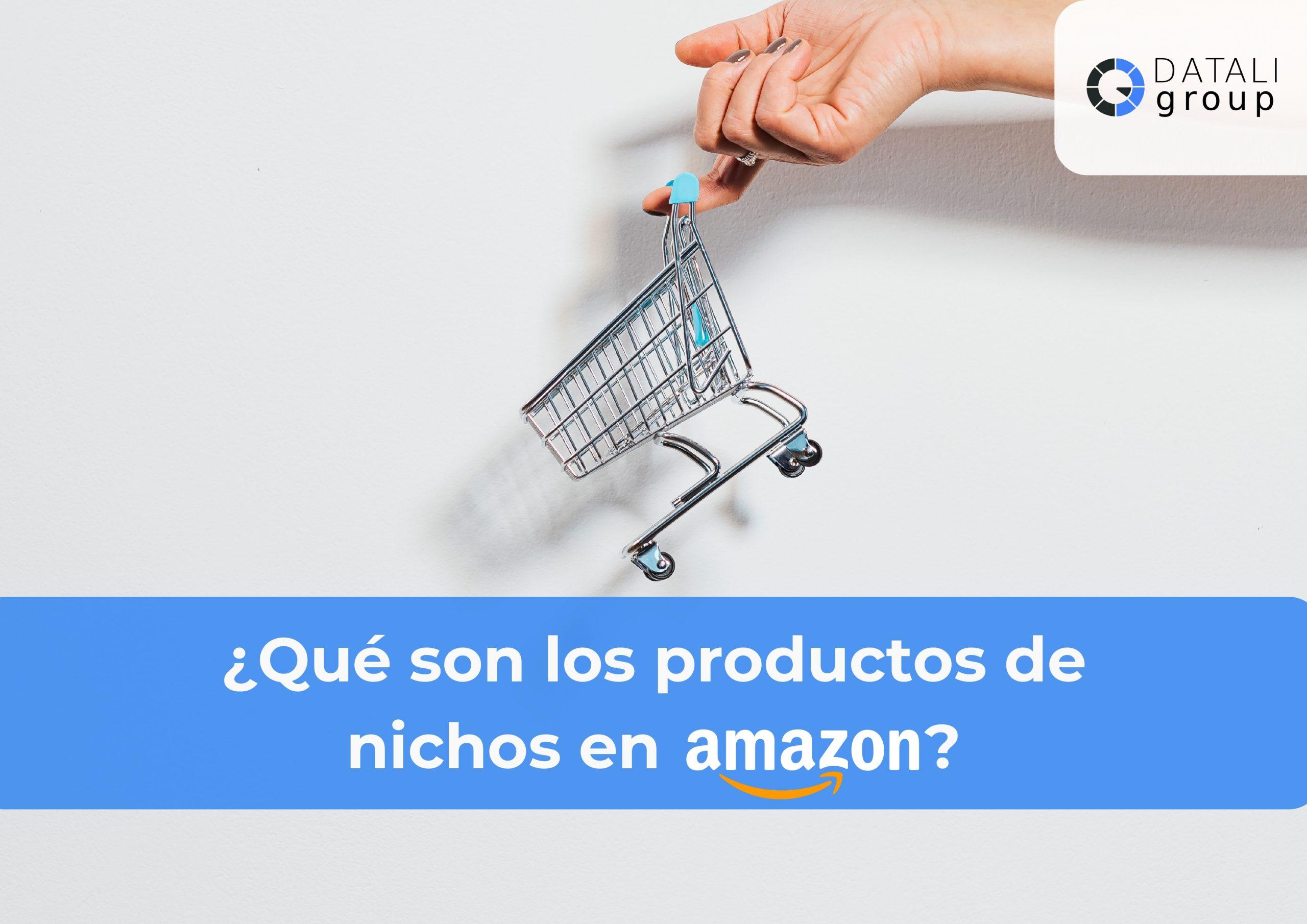 Datali Group - ¿Qué son los productos de nichos en Amazon?